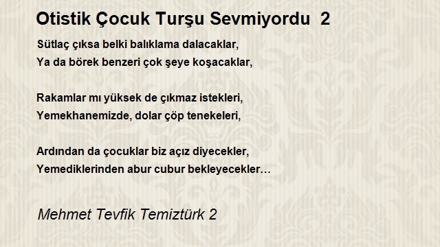 Mehmet Tevfik Temiztürk 2