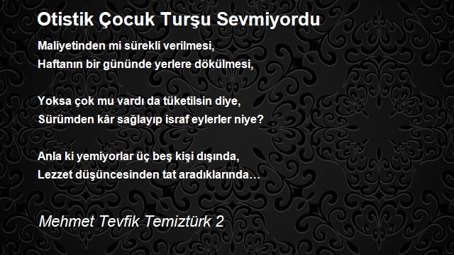 Mehmet Tevfik Temiztürk 2