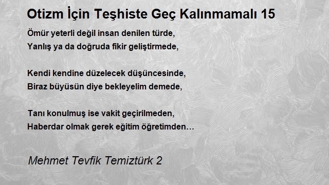 Mehmet Tevfik Temiztürk 2