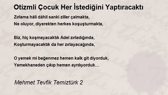 Mehmet Tevfik Temiztürk 2