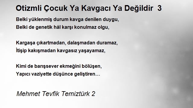 Mehmet Tevfik Temiztürk 2