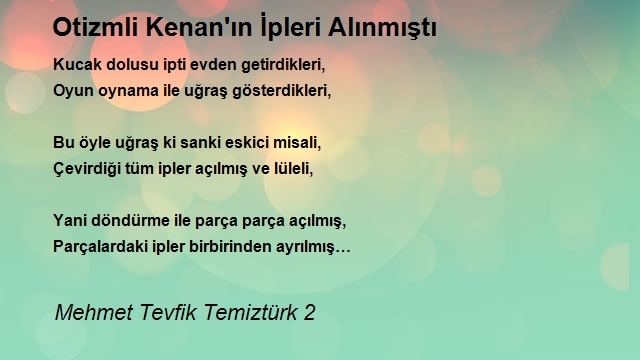 Mehmet Tevfik Temiztürk 2