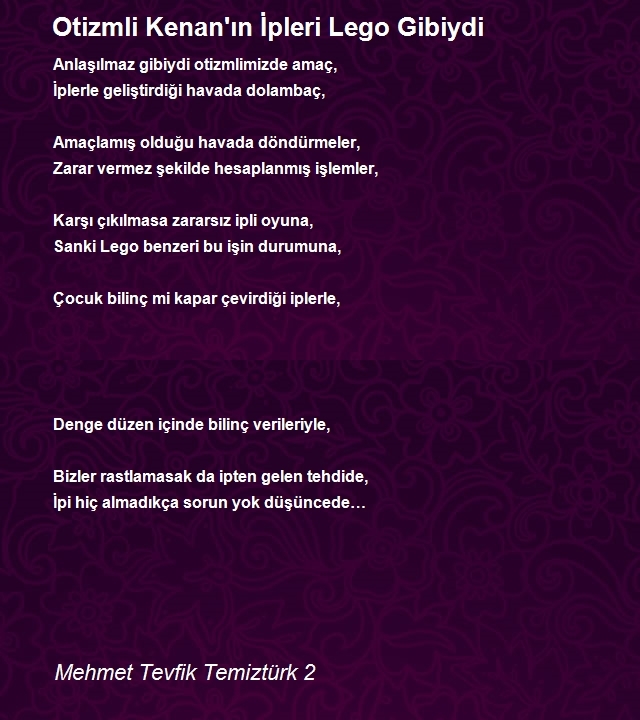 Mehmet Tevfik Temiztürk 2