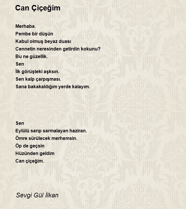 Sevgi Gül İlkan