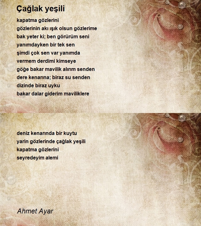 Ahmet Ayar