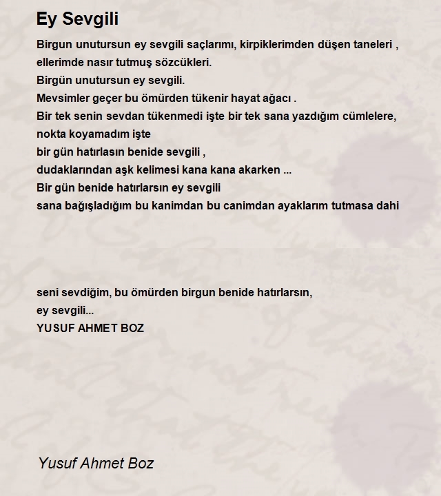 Yusuf Ahmet Boz