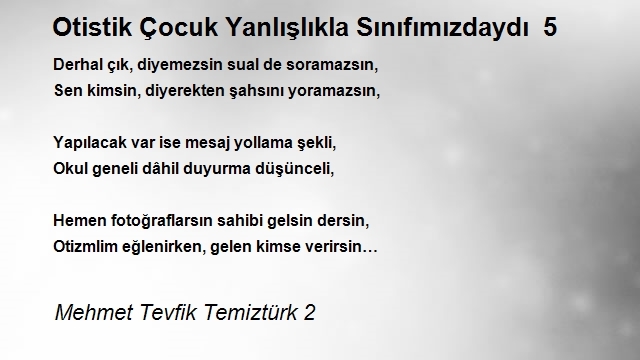 Mehmet Tevfik Temiztürk 2