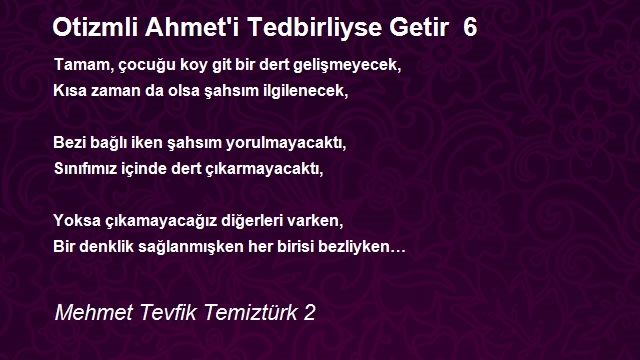 Mehmet Tevfik Temiztürk 2