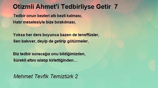 Mehmet Tevfik Temiztürk 2