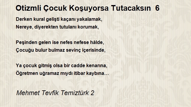 Mehmet Tevfik Temiztürk 2