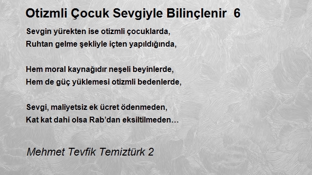 Mehmet Tevfik Temiztürk 2