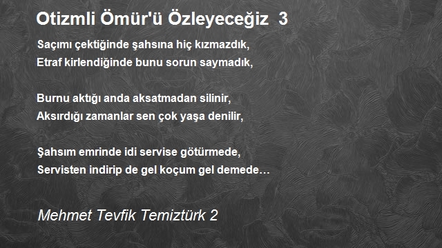 Mehmet Tevfik Temiztürk 2