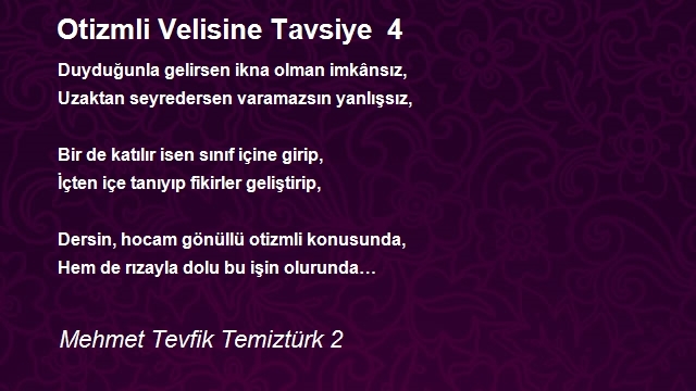 Mehmet Tevfik Temiztürk 2