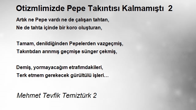 Mehmet Tevfik Temiztürk 2