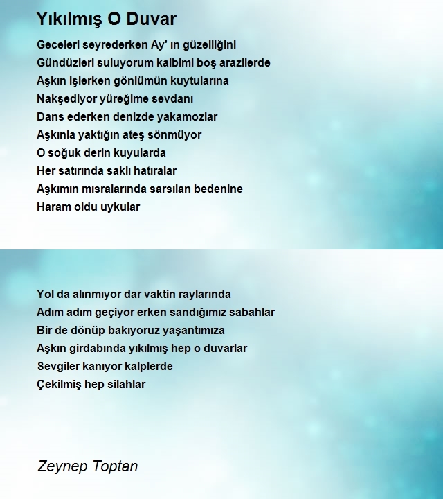 Zeynep Toptan