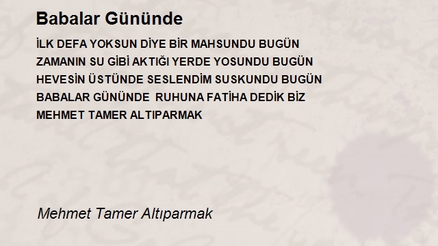 Mehmet Tamer Altıparmak