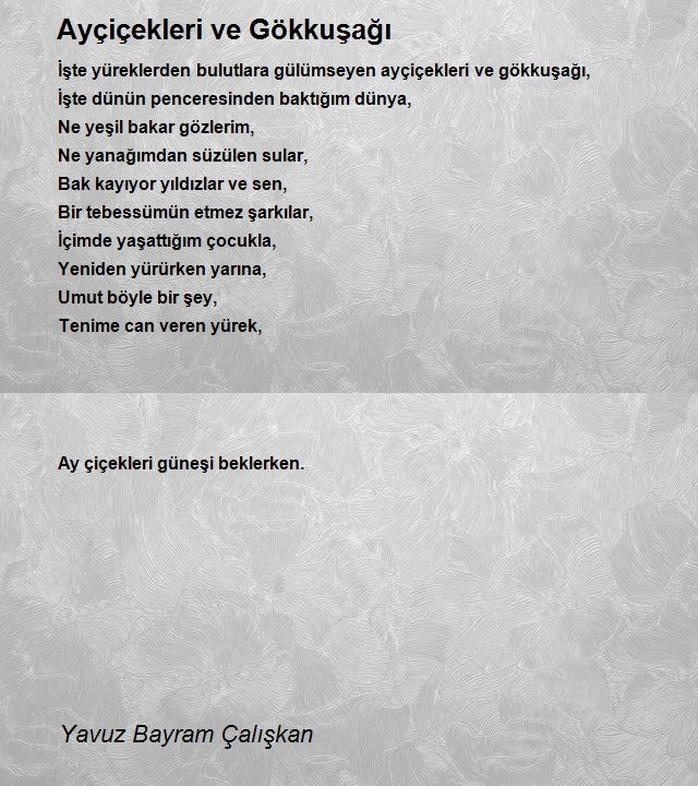 Yavuz Bayram Çalışkan