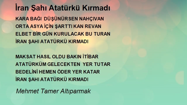 Mehmet Tamer Altıparmak