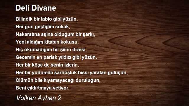 Volkan Ayhan 2