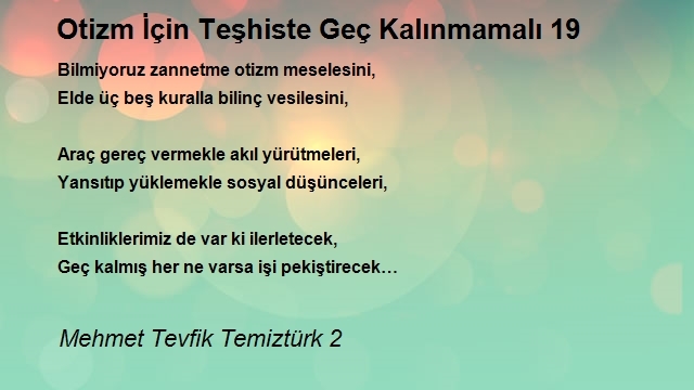 Mehmet Tevfik Temiztürk 2