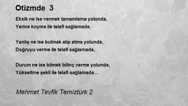 Mehmet Tevfik Temiztürk 2