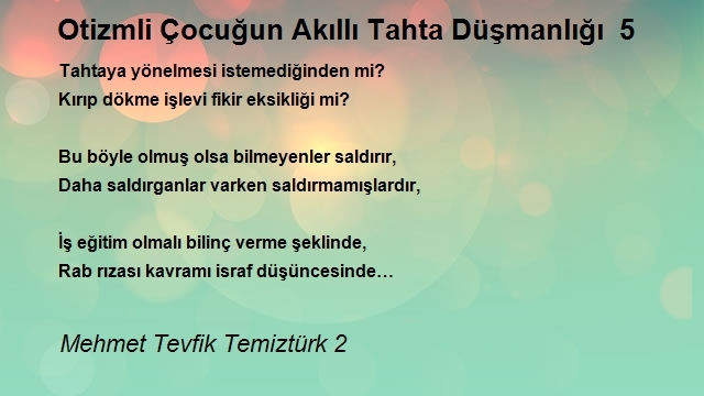 Mehmet Tevfik Temiztürk 2