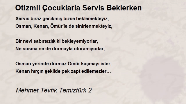 Mehmet Tevfik Temiztürk 2