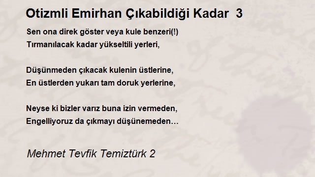 Mehmet Tevfik Temiztürk 2