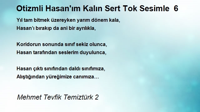 Mehmet Tevfik Temiztürk 2