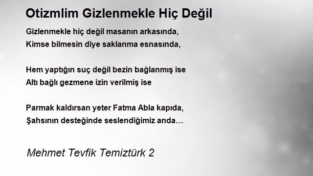 Mehmet Tevfik Temiztürk 2