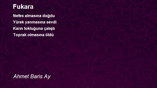 Ahmet Baris Ay