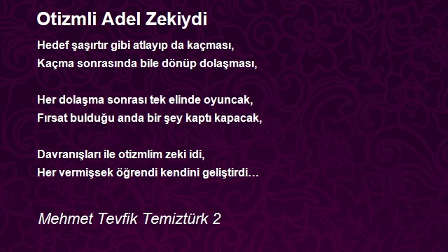 Mehmet Tevfik Temiztürk 2