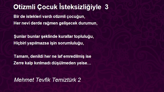 Mehmet Tevfik Temiztürk 2