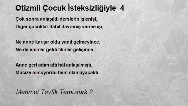 Mehmet Tevfik Temiztürk 2