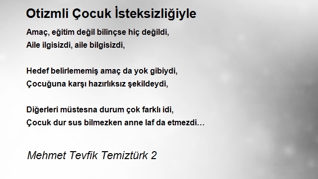 Mehmet Tevfik Temiztürk 2