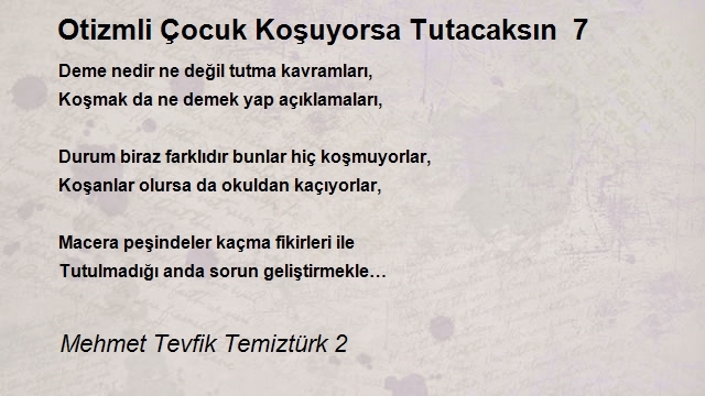 Mehmet Tevfik Temiztürk 2