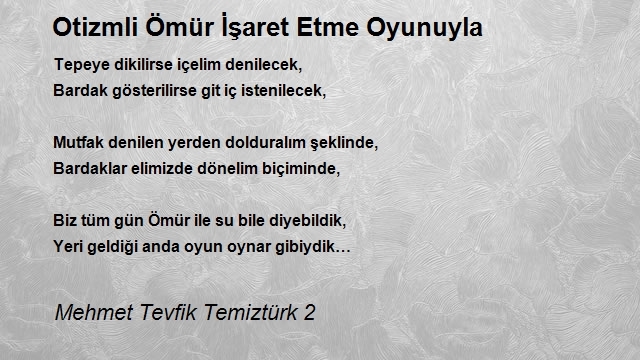 Mehmet Tevfik Temiztürk 2