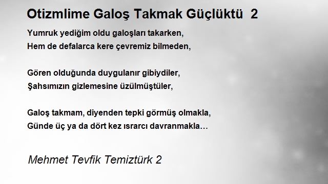 Mehmet Tevfik Temiztürk 2