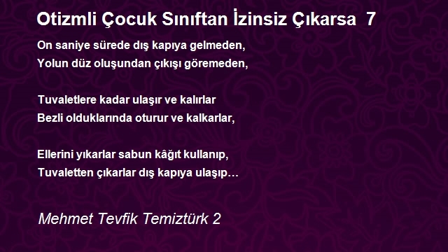 Mehmet Tevfik Temiztürk 2