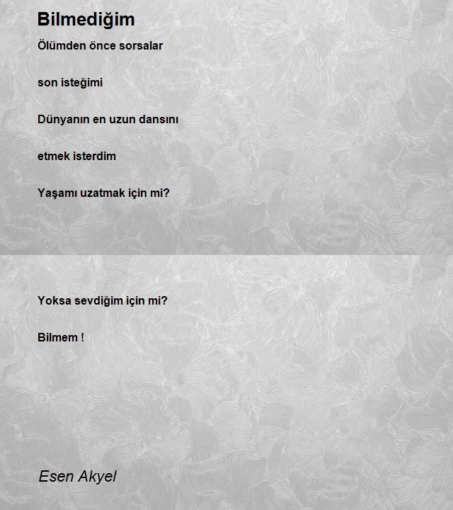 Esen Akyel