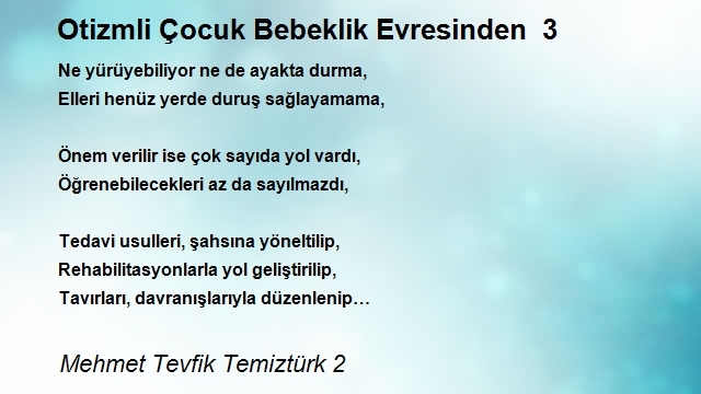 Mehmet Tevfik Temiztürk 2