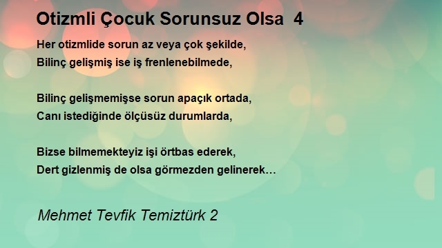 Mehmet Tevfik Temiztürk 2