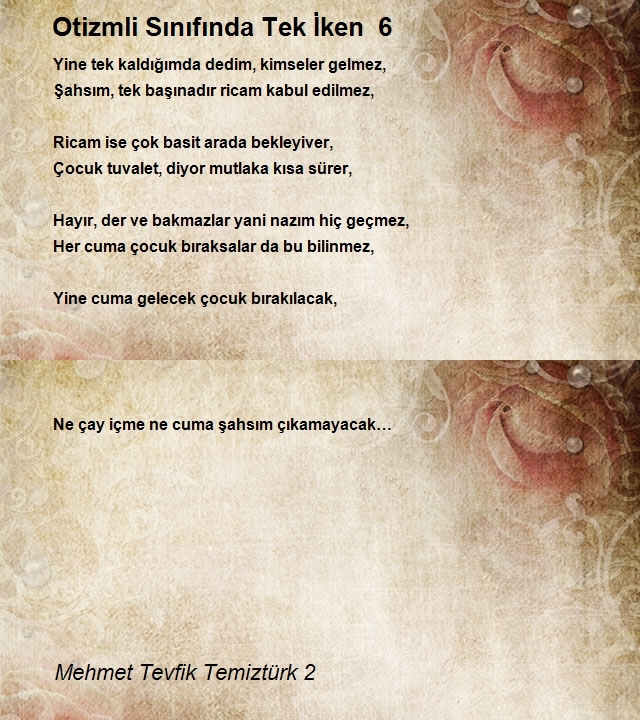 Mehmet Tevfik Temiztürk 2