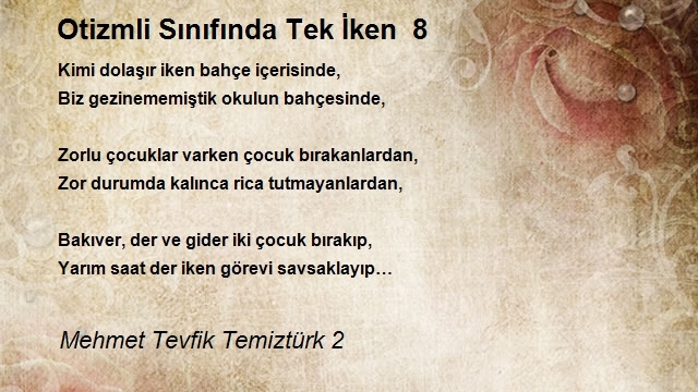 Mehmet Tevfik Temiztürk 2