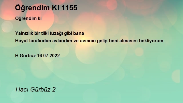 Hacı Gürbüz 2