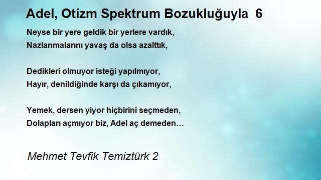 Mehmet Tevfik Temiztürk 2