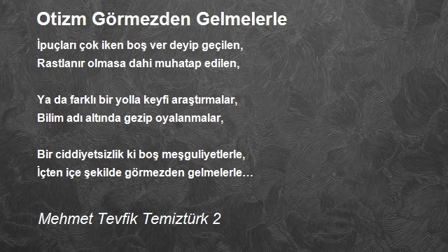 Mehmet Tevfik Temiztürk 2