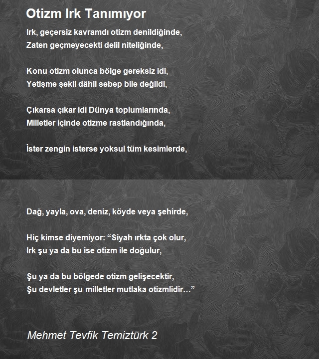 Mehmet Tevfik Temiztürk 2