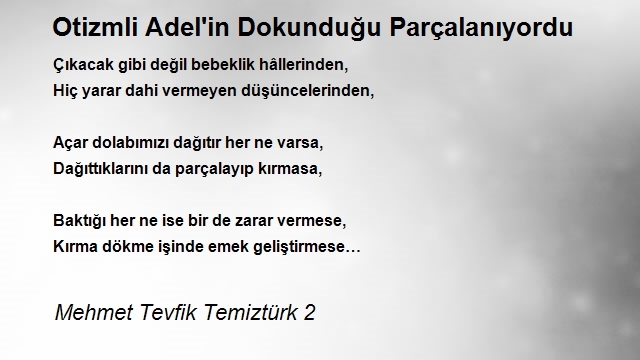 Mehmet Tevfik Temiztürk 2