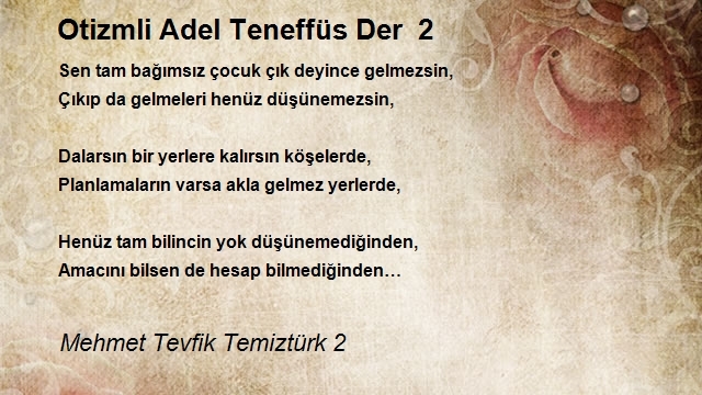 Mehmet Tevfik Temiztürk 2